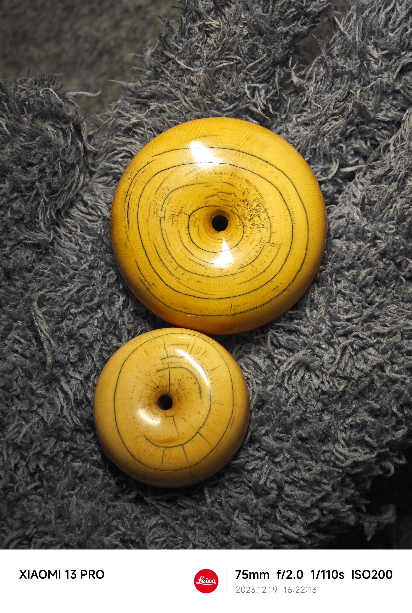 NO.332 帮新人看看猛犸牙吧