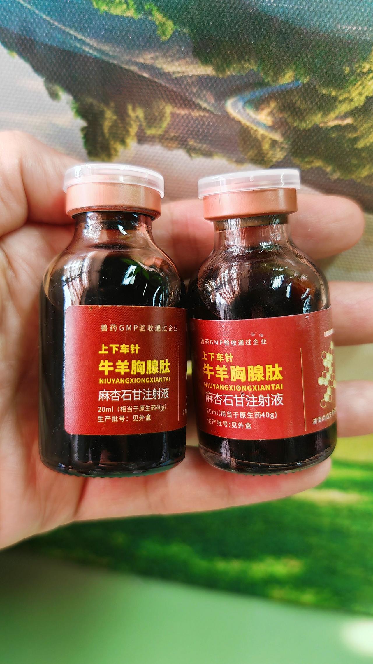 养羊人 农村养羊 牛羊养殖