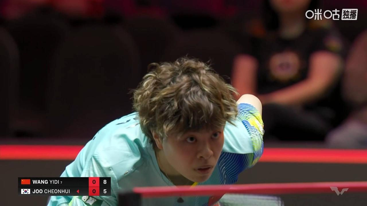 王艺迪顶着一个爆炸头，有点金毛狮王的意思，今天不知道有多少人关注到王艺迪的新发型