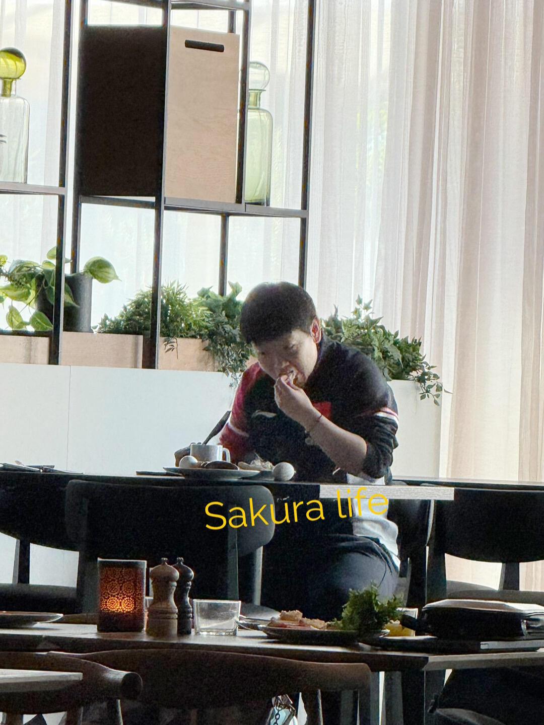 下训上训，莎莎小猫必须吃饱，享受美食！
莎莎的食欲很好，很开心，岁月静好，开心的