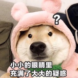 月盈爱谈娱乐
