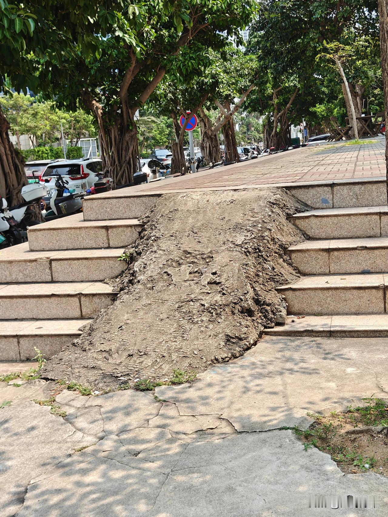 海南岛是以旅游著称的省份，海口还是省会城市，但市容市貌不太好，特别是地面有很多坑