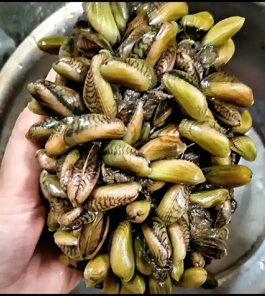 朋友给寄过来的，不知道是什么，家人们有知道的吗，这玩意儿是吃的吗？ ​​​