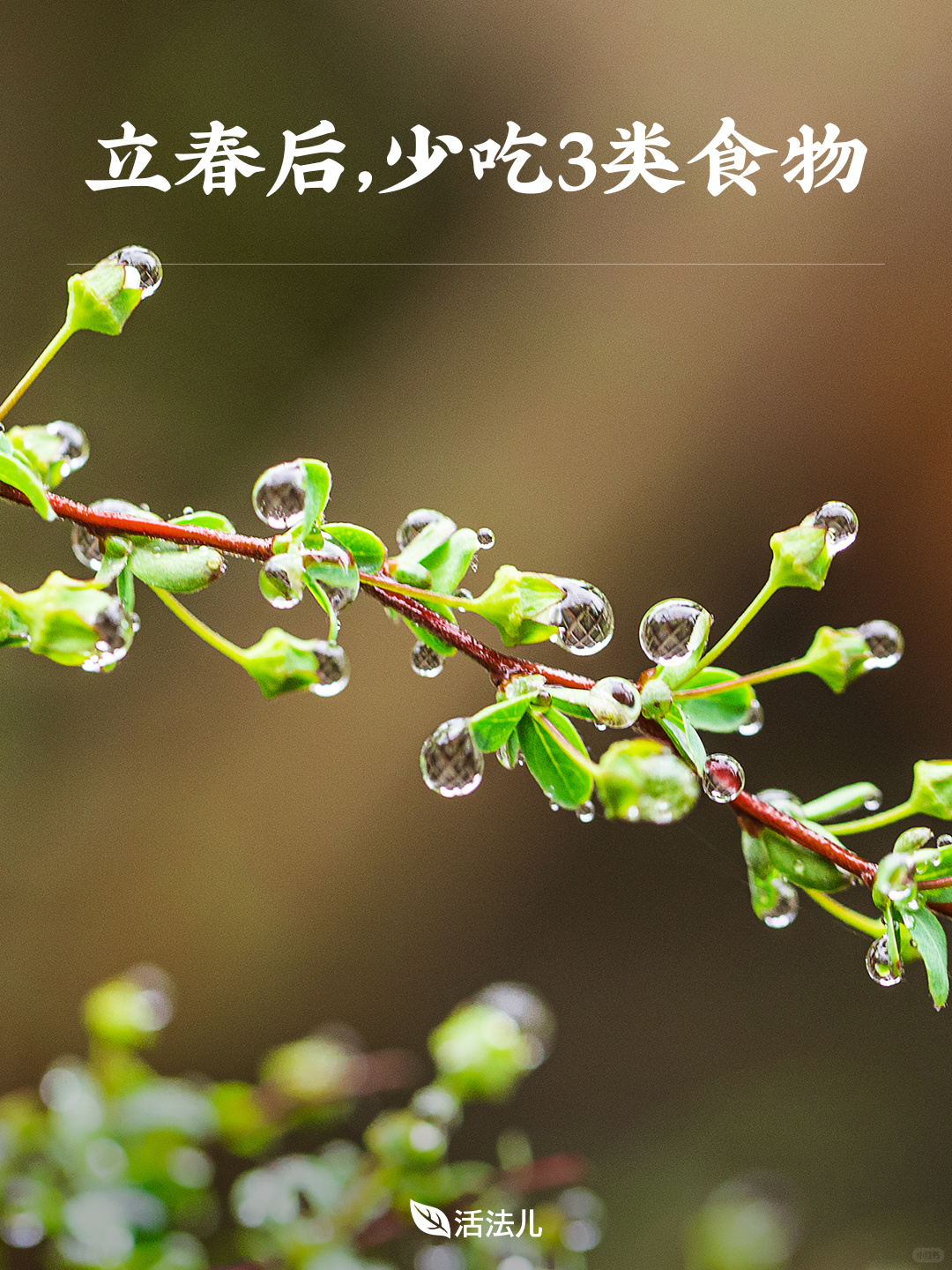 立春后，少吃3类食物🍃