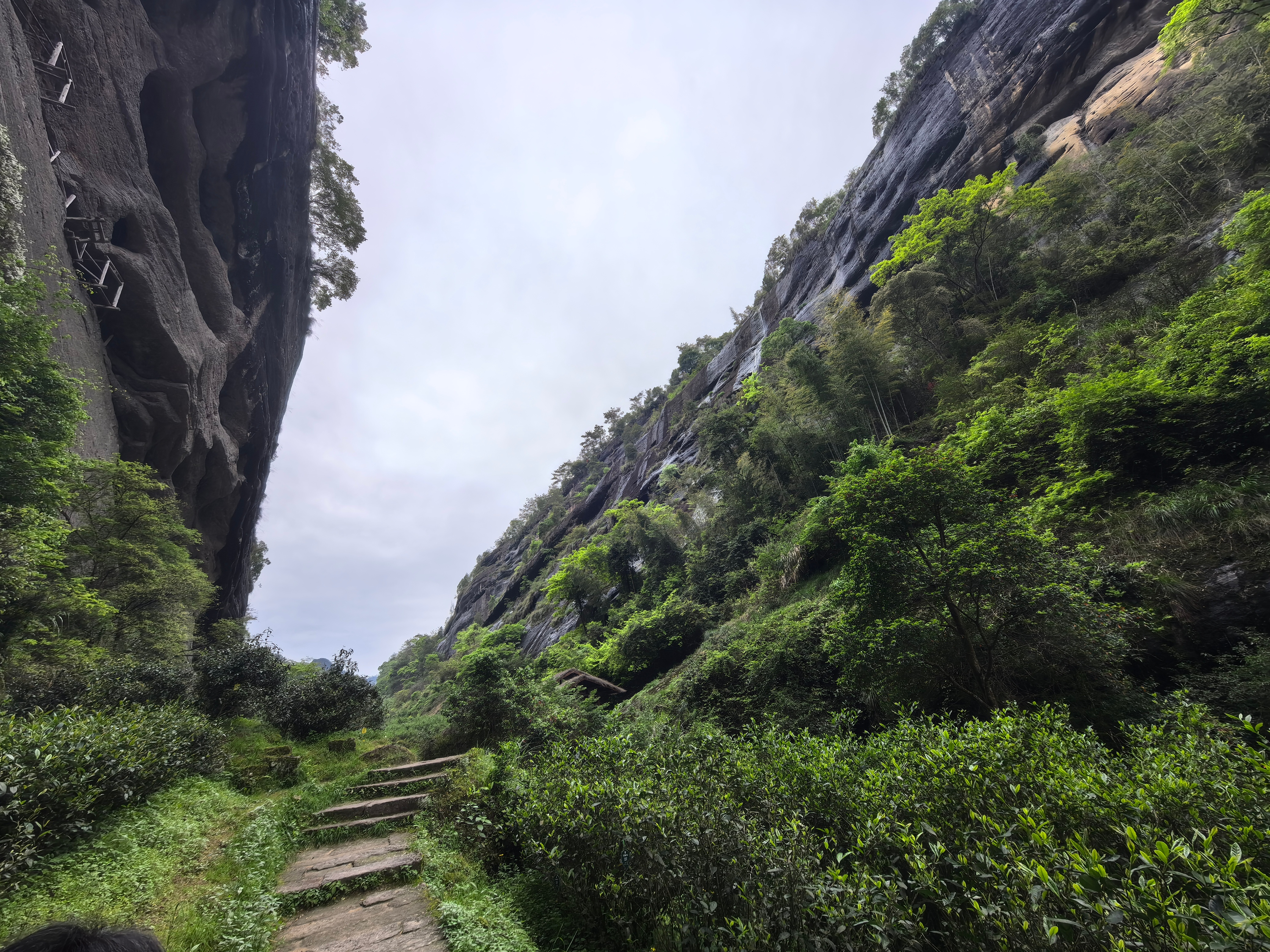 年轻就要动起来利用前一段不忙的时间，去了福建武夷山徒步大山，三天下来走了几条漫步