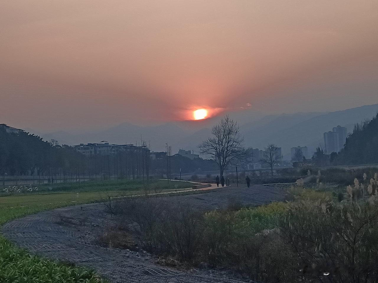 四十岁的断崖：当简历沉入海底，尊严在何处靠岸

那一声“嘀”的刷卡声，像命运轻轻