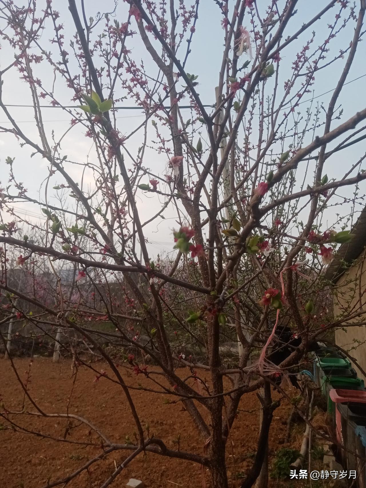 最近明显感觉到一天的时间过的是真快，一不小心又生病了，难倒是我变老了吗？