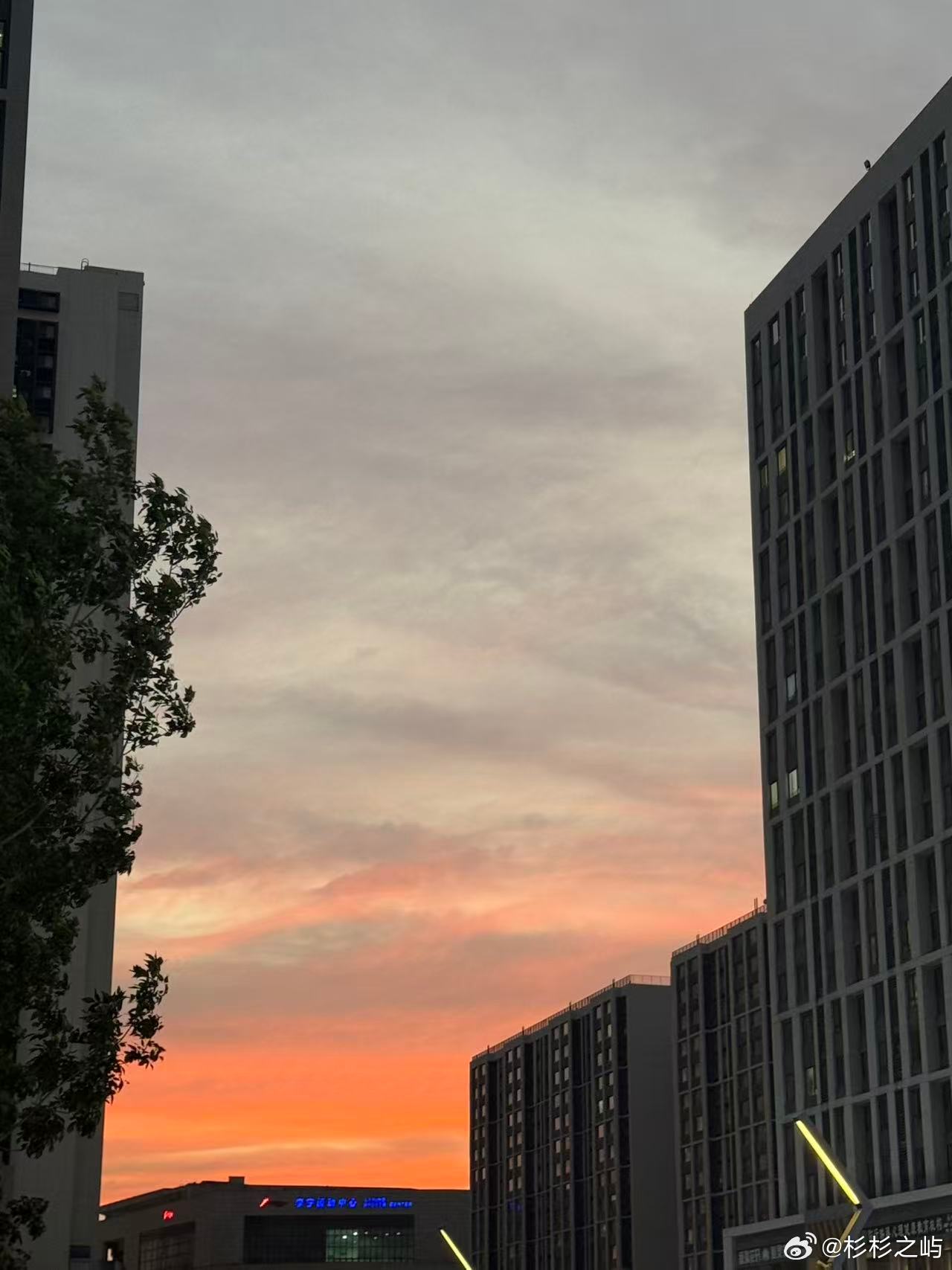 白海豚 上班受外围云系影响，我们这里今天是中雨。昨晚的晚霞很漂亮，我问豆包，不是