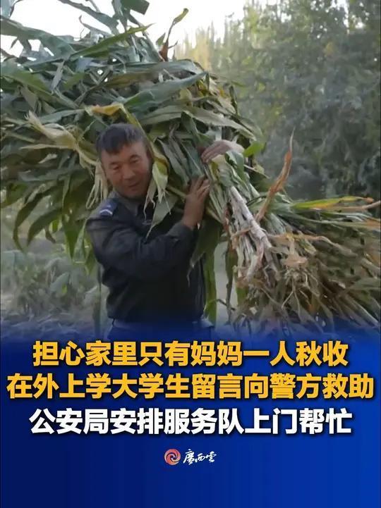 “这个派出所火到中国青年报！”大学生在外地上大学，担心母亲一人难以完成秋收，尝试