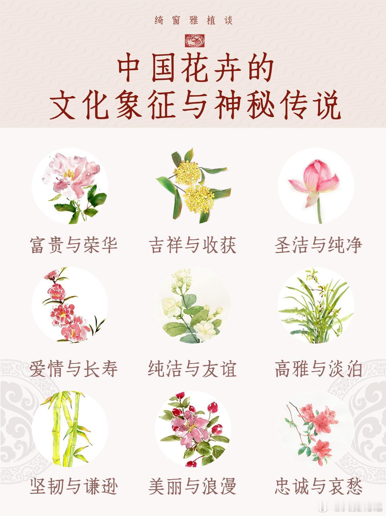 绝美揭秘！中式花卉背后的文化象征与传说 