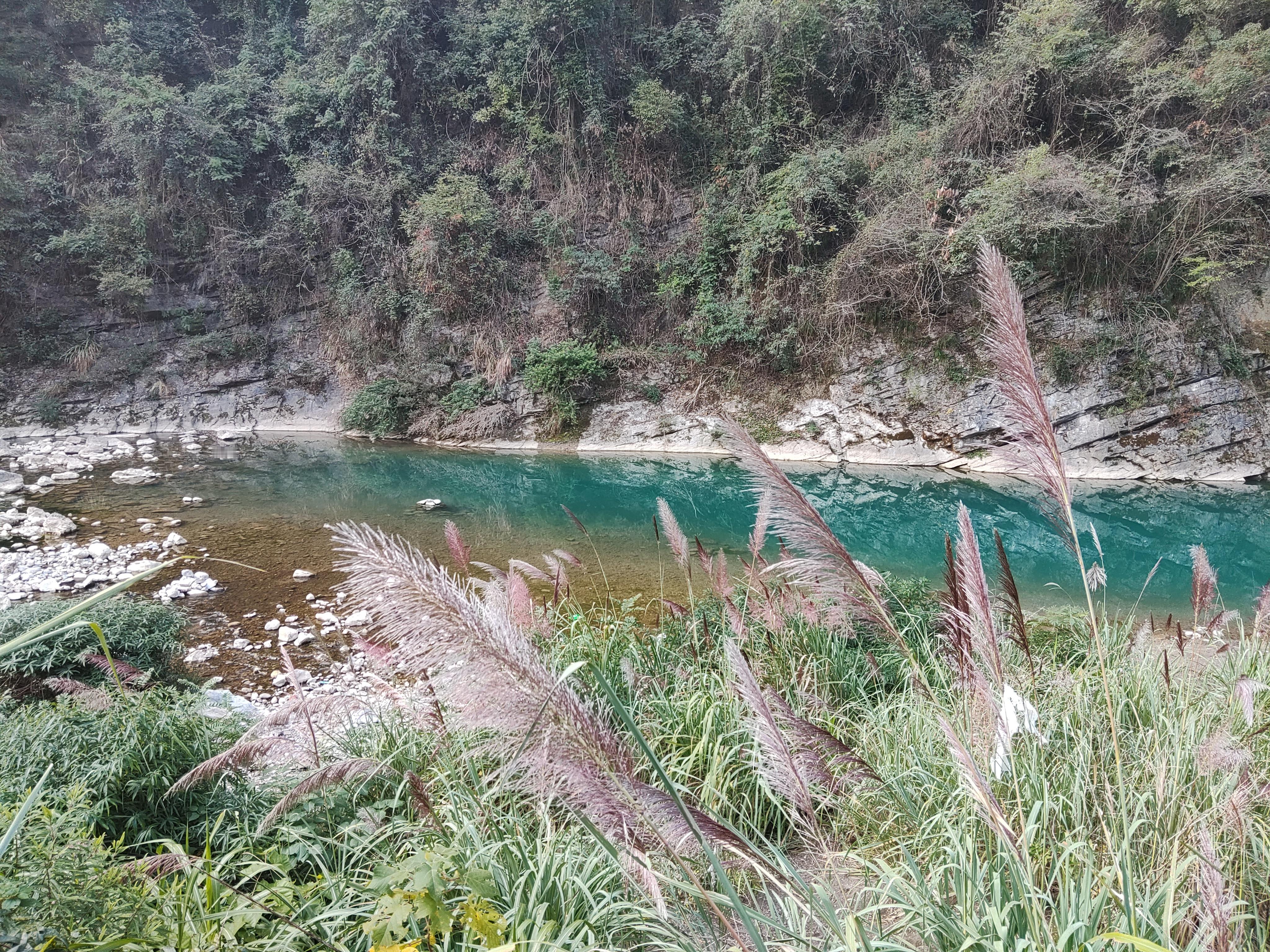 今天上山，快乐要减半了 ​​​