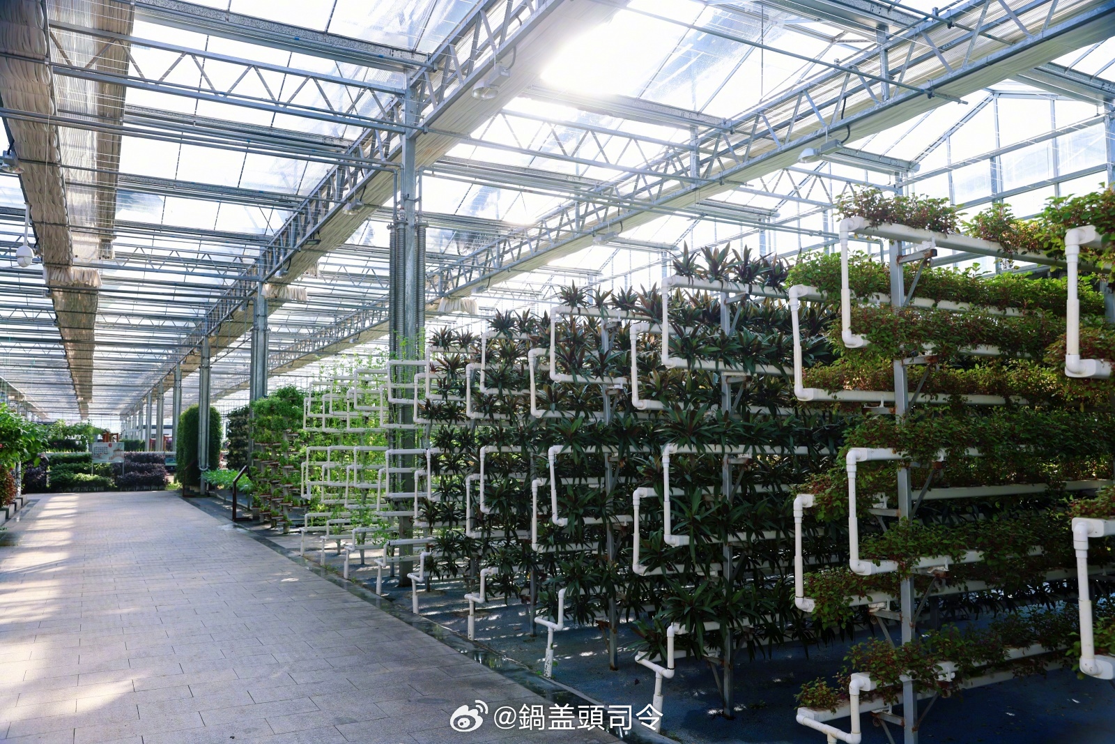 #海岱文化谱新篇# 中国蔬菜第一县，不仅有蔬菜，也有美食！这里有国家3A级旅游景