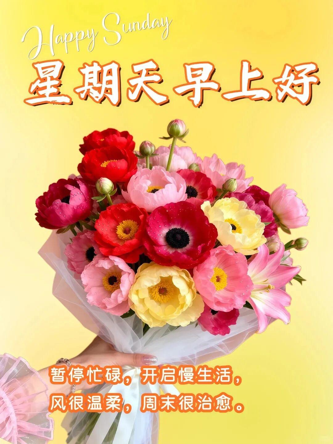 今早醒来第一个念头今早醒来第一个念头是和老头去哪里玩玩，因为今天孙子儿子都不回来