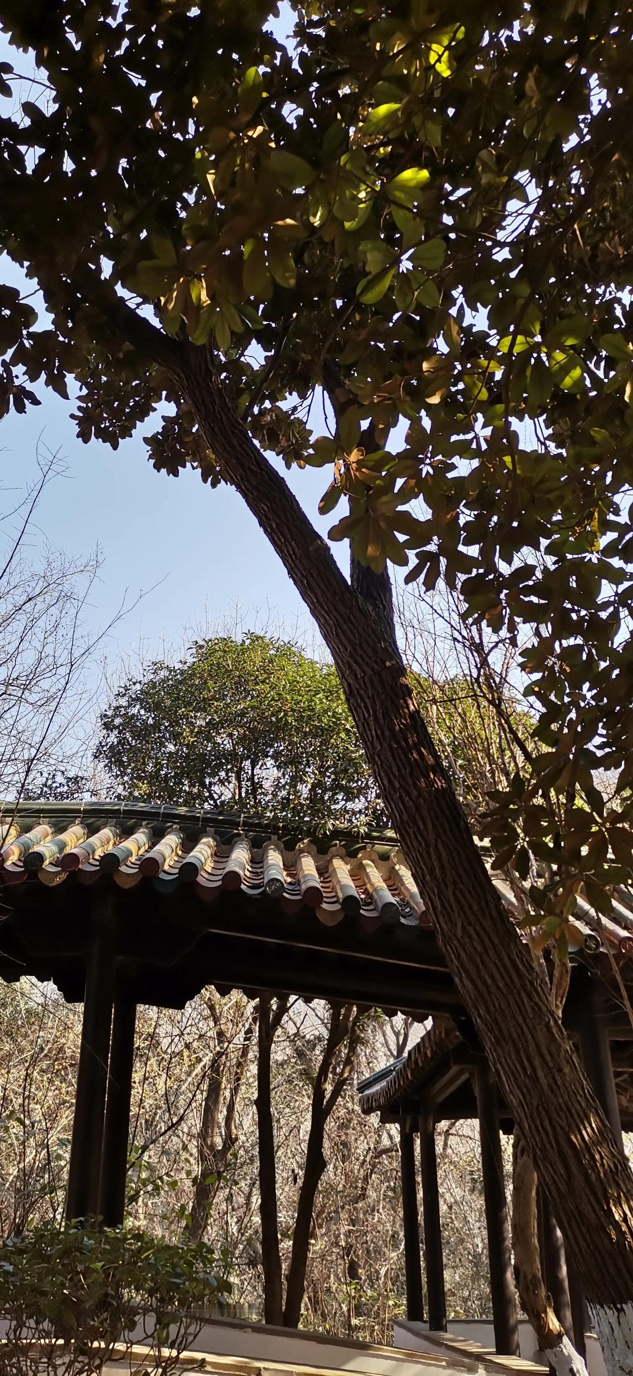 记录光影的瞬间