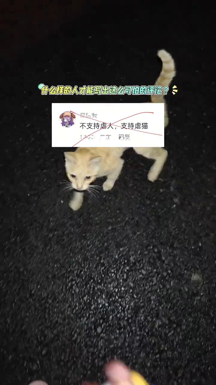 什么样的人才能写出这么可怕的评论？不支持虐人，支持虐猫。