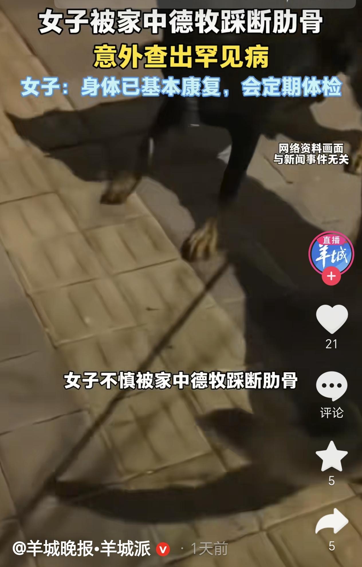 湖北武汉，一25岁女子与自家宠物狗日常嬉闹时，不料，狗狗突然踩断她的肋骨，她感到