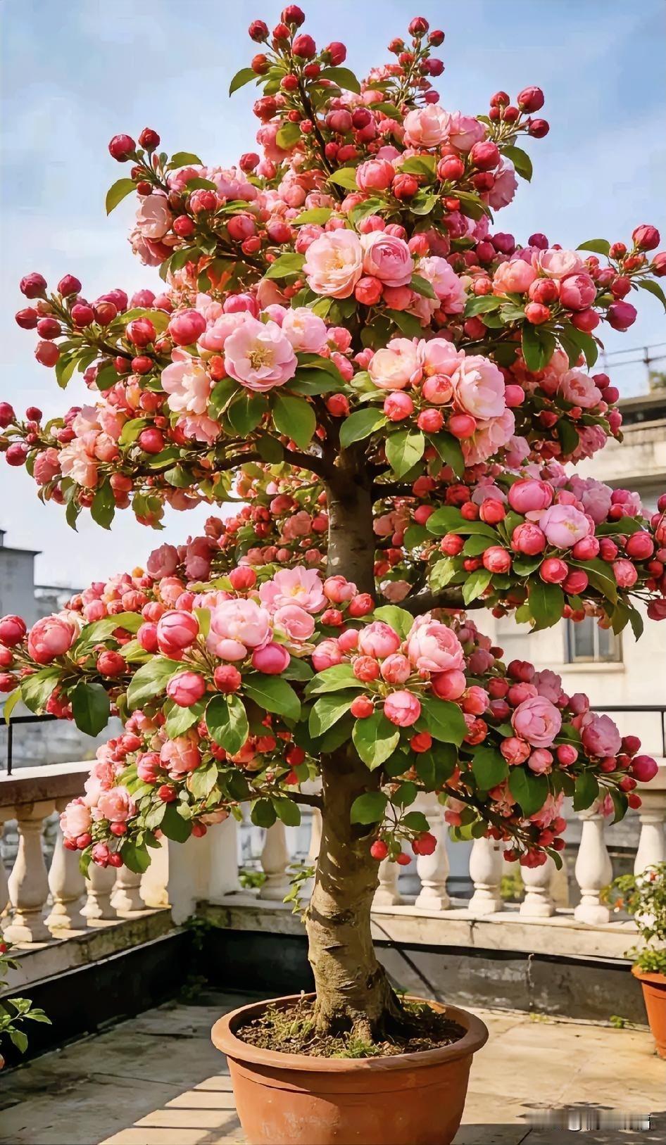 生活最好的状态，忙而不乱，累而无悔，按自己的心意生活，就是最大的胜利。