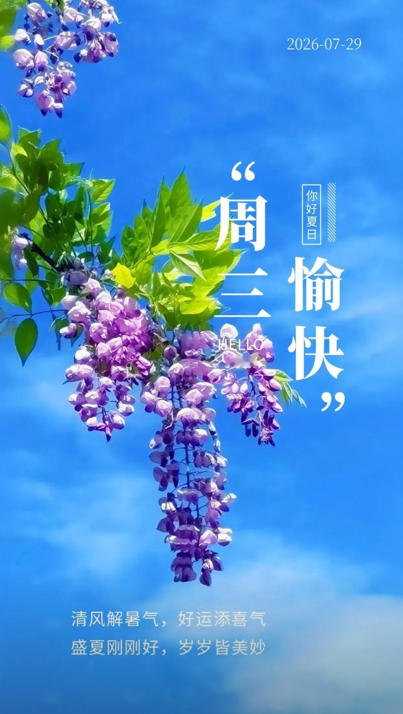 夏晨问安，踏足伏天盛夏之途，心若安处，自有清风驱散暑意。
2026./07.29