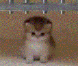 3305世上最绝望的事：粪作里有这辈子最符合我口味的完美产品 