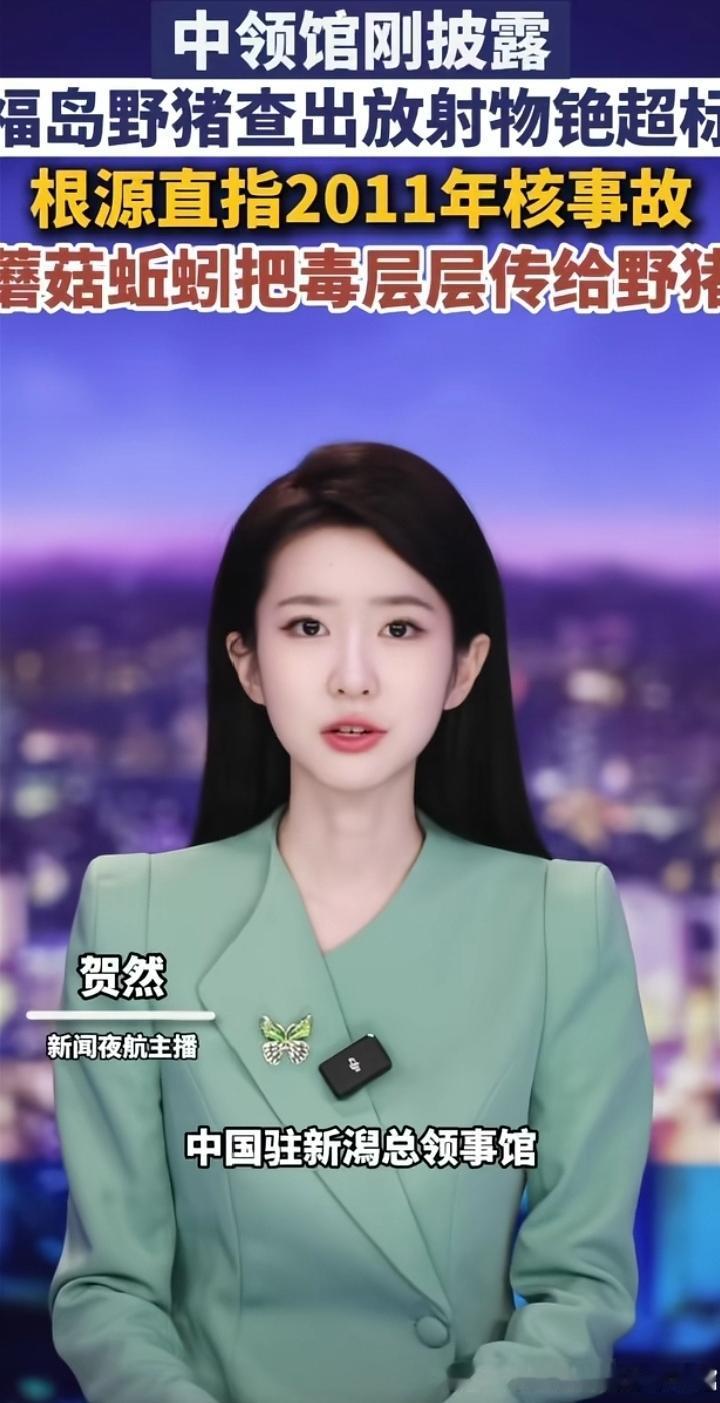 日本福岛附近野猪被检出放射性铯严重超标，去日本的旅客最好不要吃当地的野味。专家推