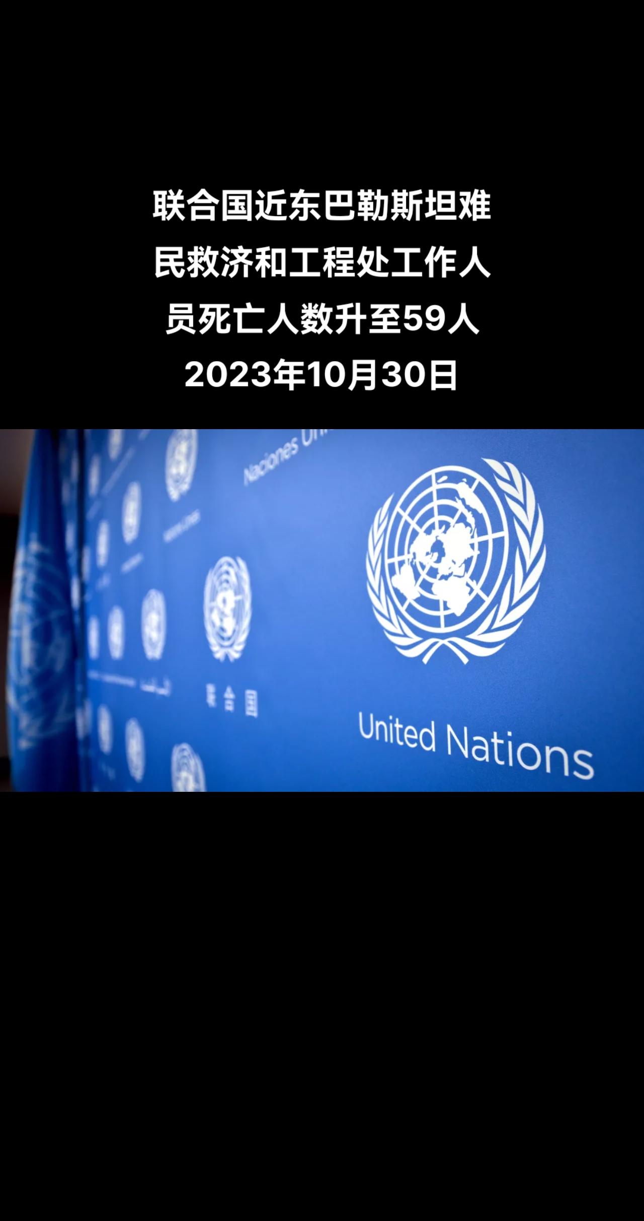 俄罗斯卫星通讯社莫斯科10月30日电 联合国表示，联合国近东巴勒斯坦难民救济和工