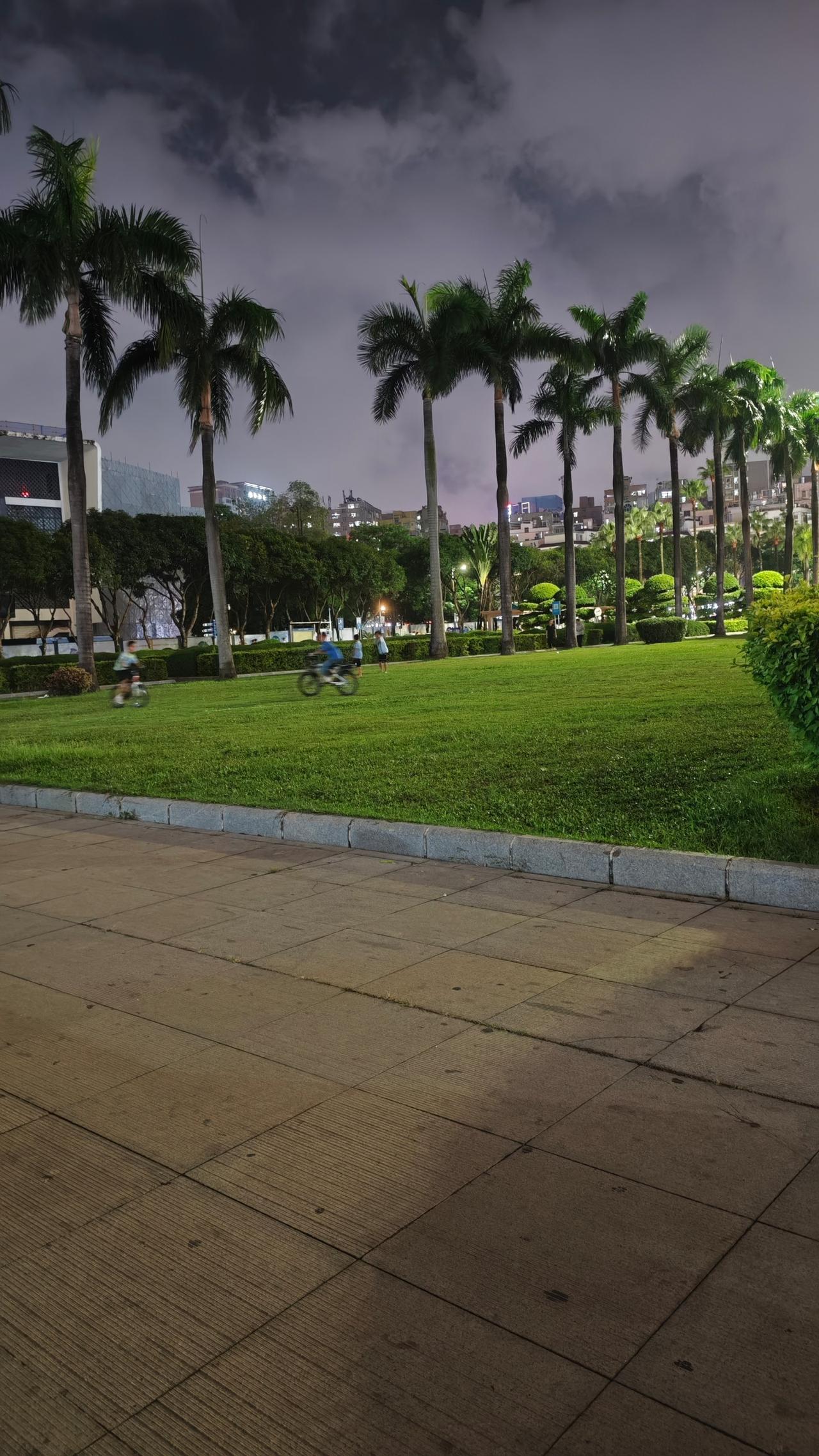 夜晚公园的宁静时光，绿草如茵，棕榈树摇曳，骑车人悠然自得。