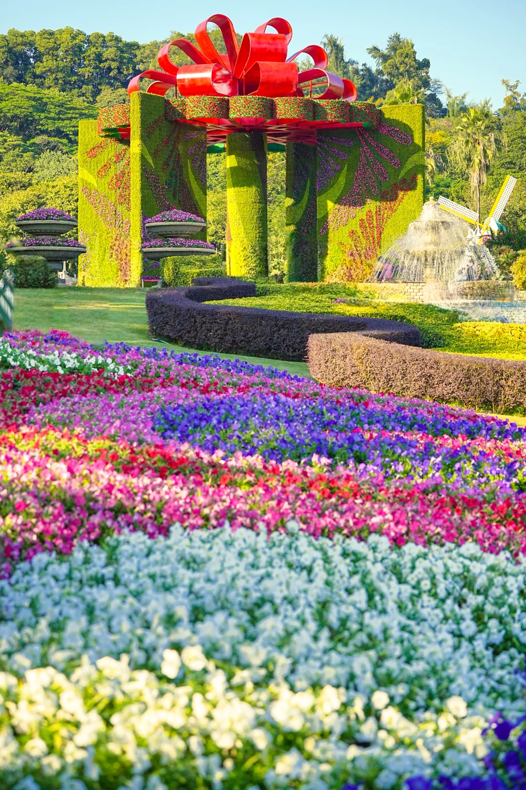 秋日到站！广州今日天气的含金量谁懂！美爆