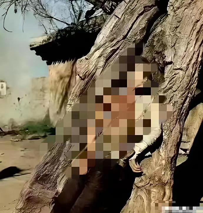 1937 年，一位红军西路军女战士，被敌人活生生的钉死在树桩上，让人看得怒火中烧