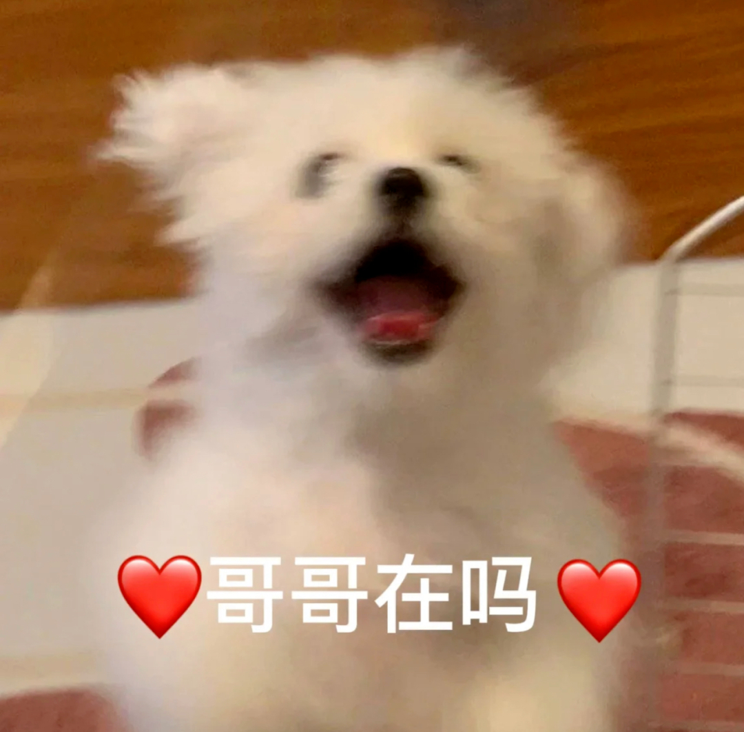 在干嘛呀531快乐宝宝💙 