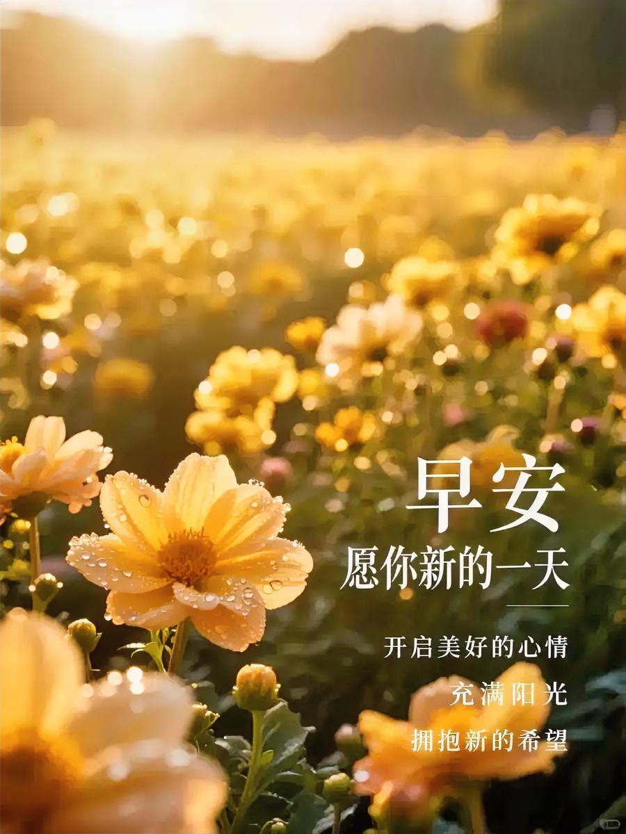 早安！带着热情，奔赴今日每一份美好！
分享早安唯美图片 
每日早安寄语分享
