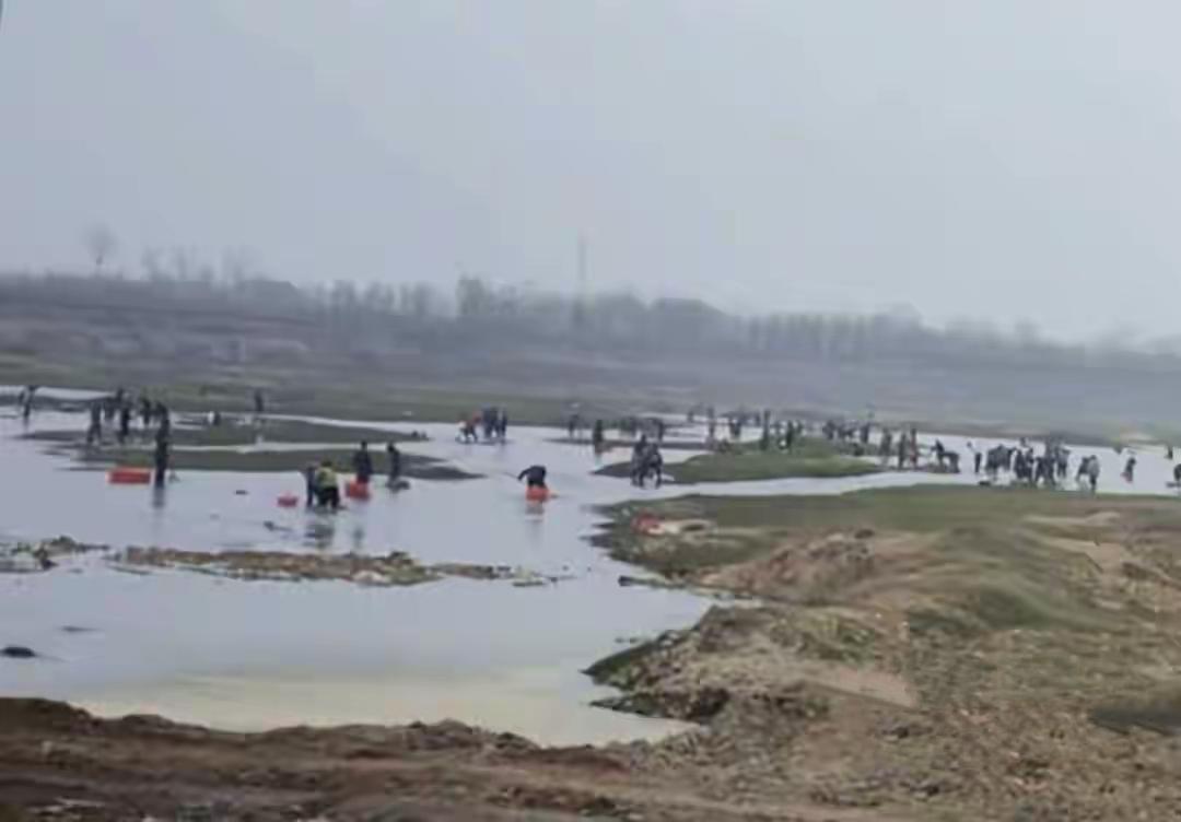 3月23日，河南唐河县马振抚镇的三夹河热闹非凡，大量民众涌入河中捕捞河蚌，场面那
