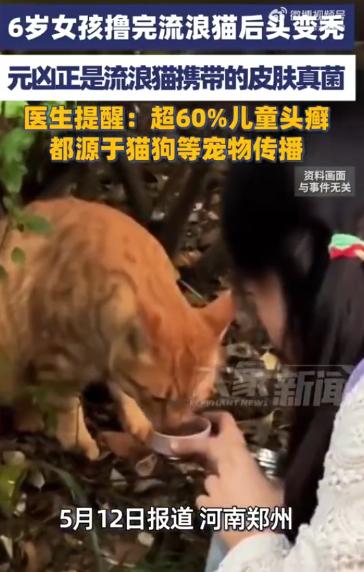 随手撸个猫，差点成秃头！河南郑州6岁女童摸了路边流浪猫，回家头顶局部脱发。家长当