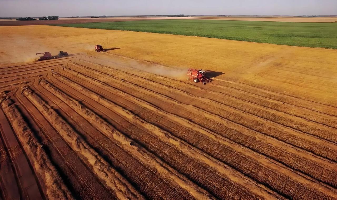 刚才我看到了一条消息，凤阳、南通、鄂州等地已经出台鼓励退出农村宅基地的相关政策，