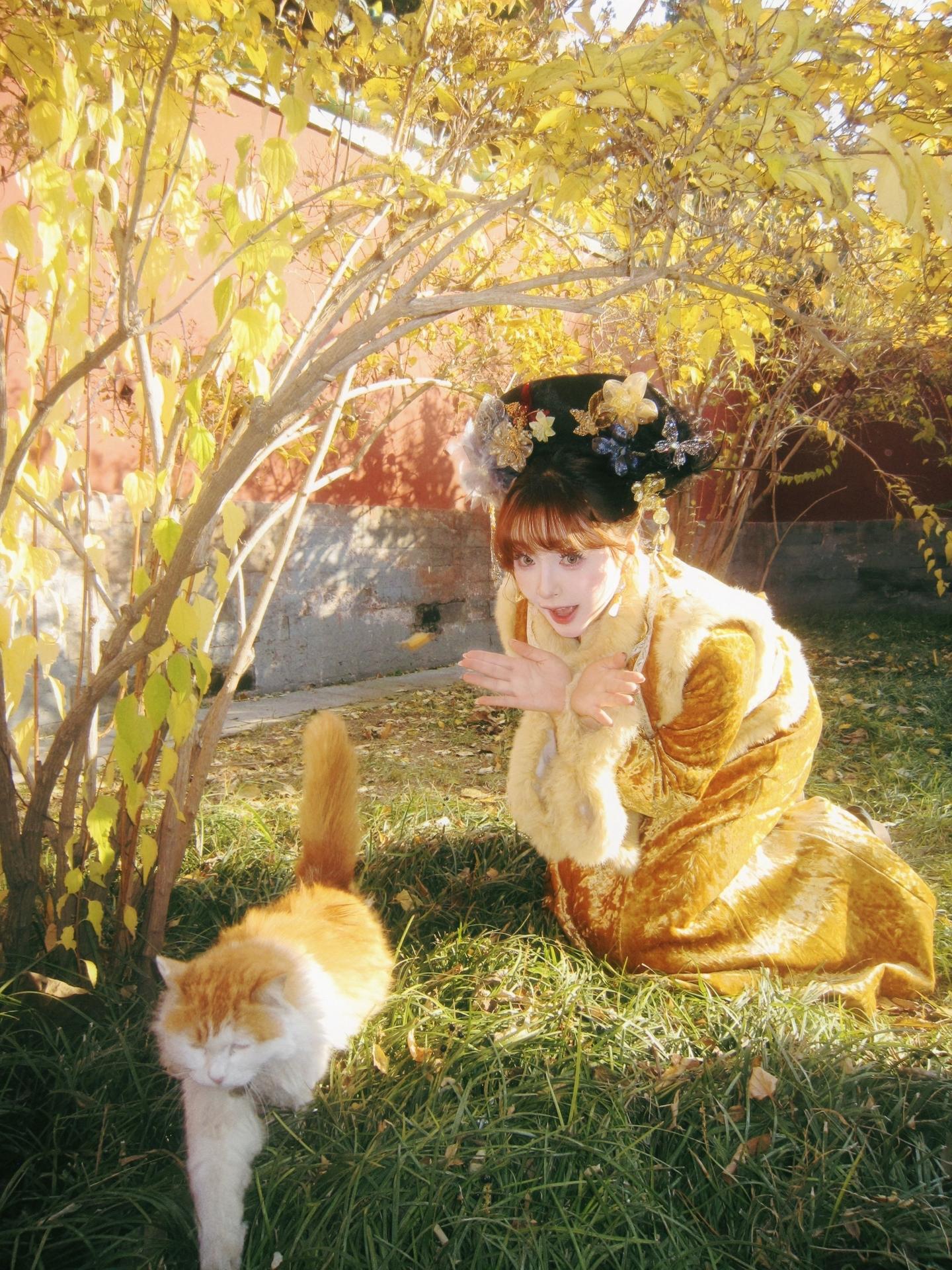 一看这个格格就不简单