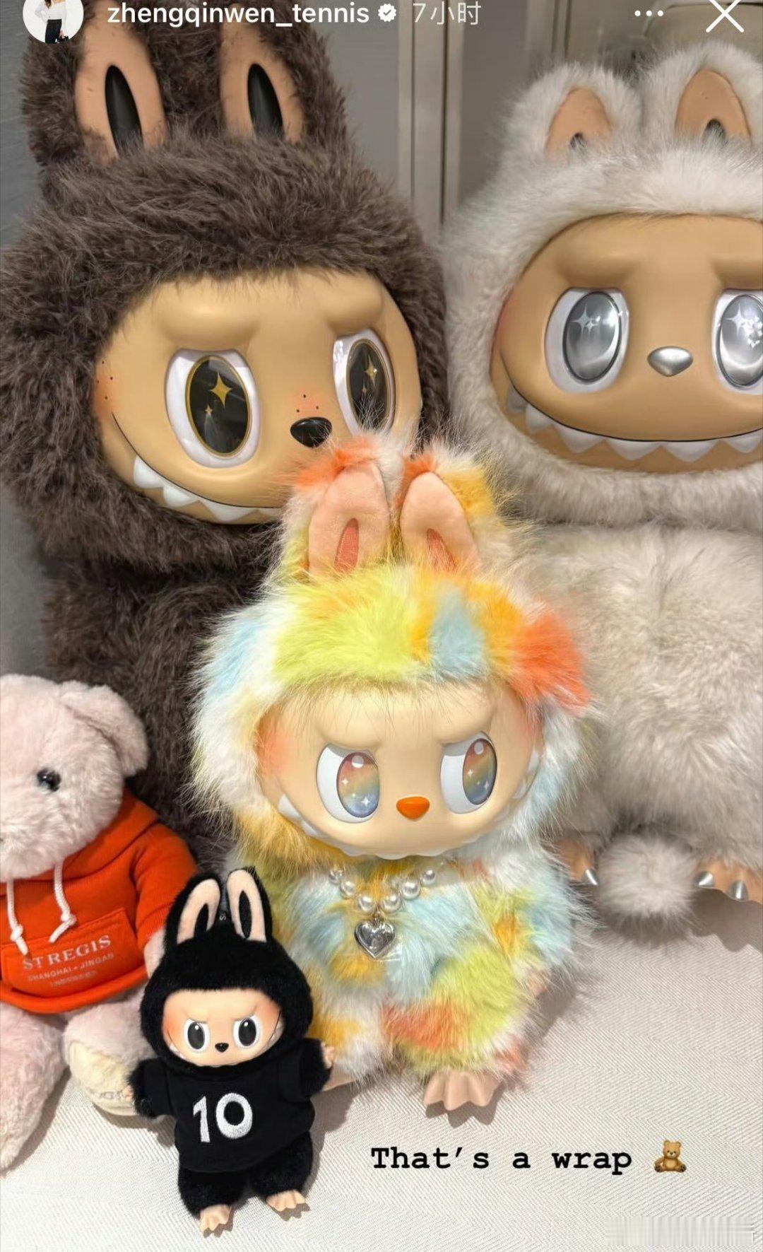 郑钦文更新社交媒体郑钦文晒出她的labubu收藏每一个看起来入手难度都很大的样子
