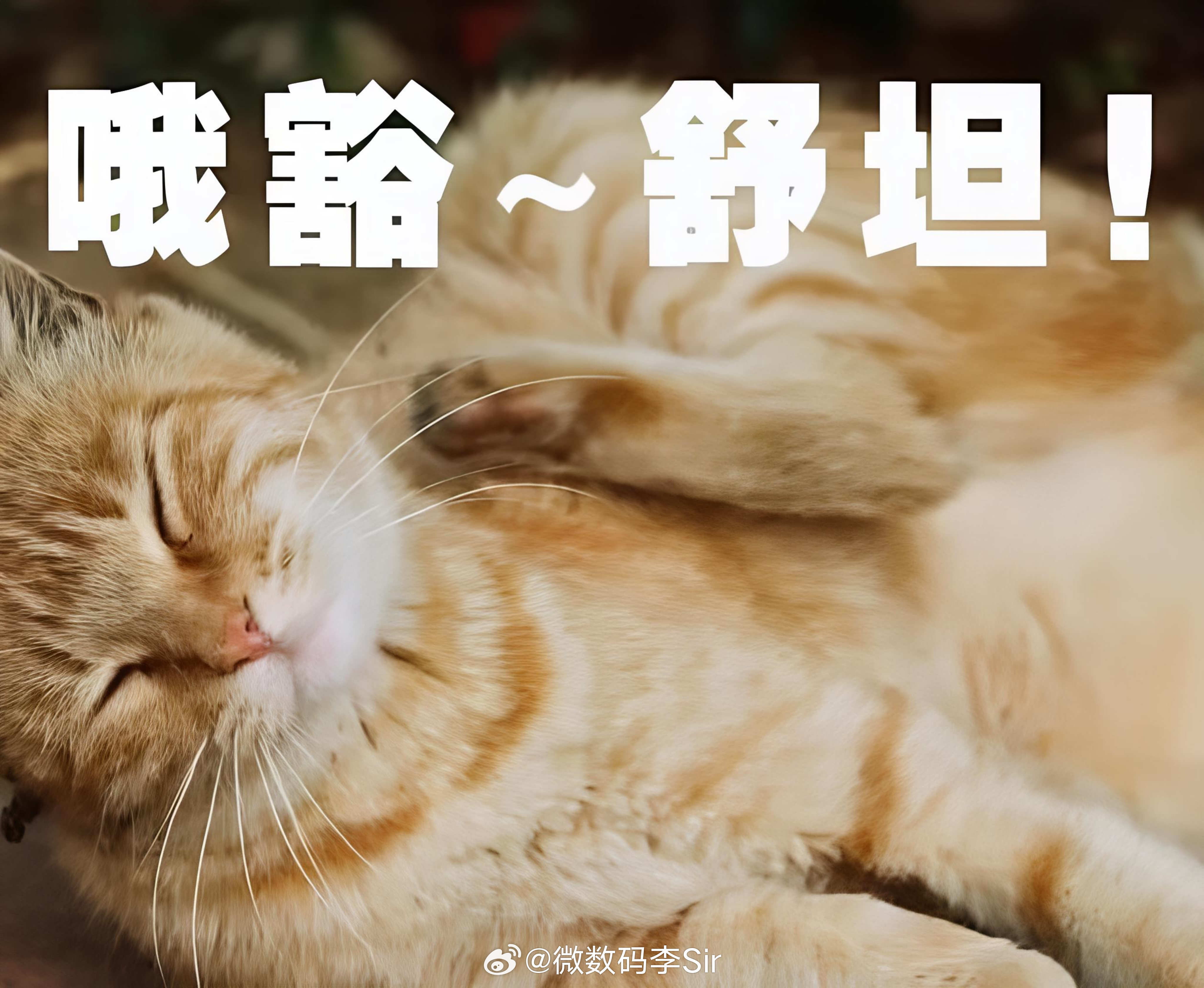 手机贴膜的视频太解压了刷上就停不下来