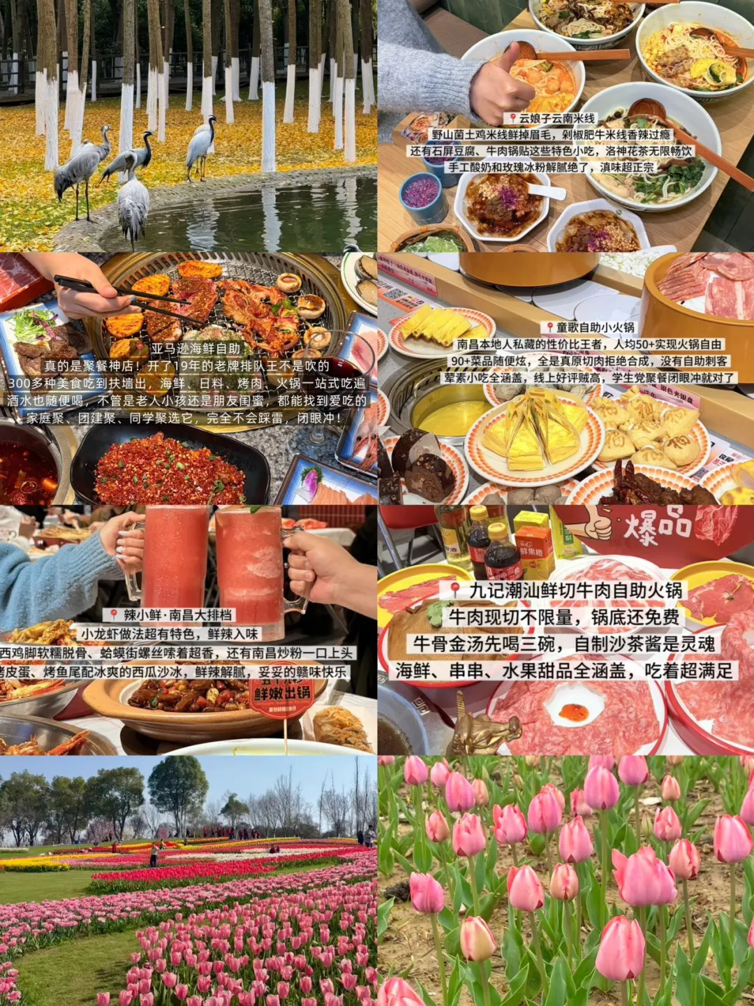 南昌赏花季干饭指南💐逛吃两不误