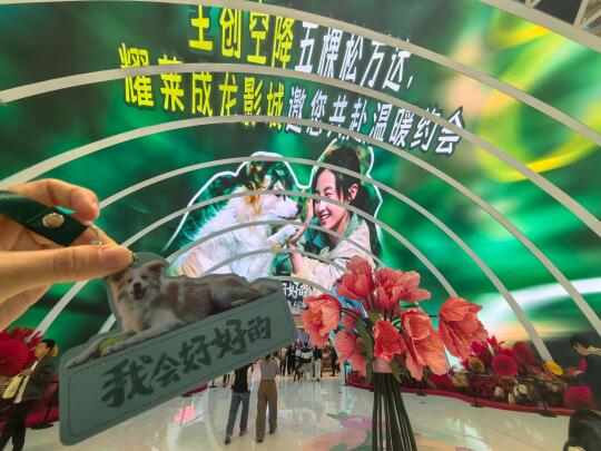 我会好好的 你也是