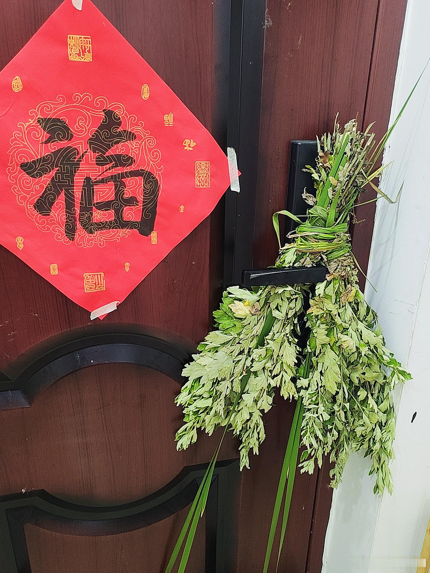 女子端午节买到xxxxxs码粽叶端午节买了两把艾叶早晨挂门上了都是大长条艾香四溢