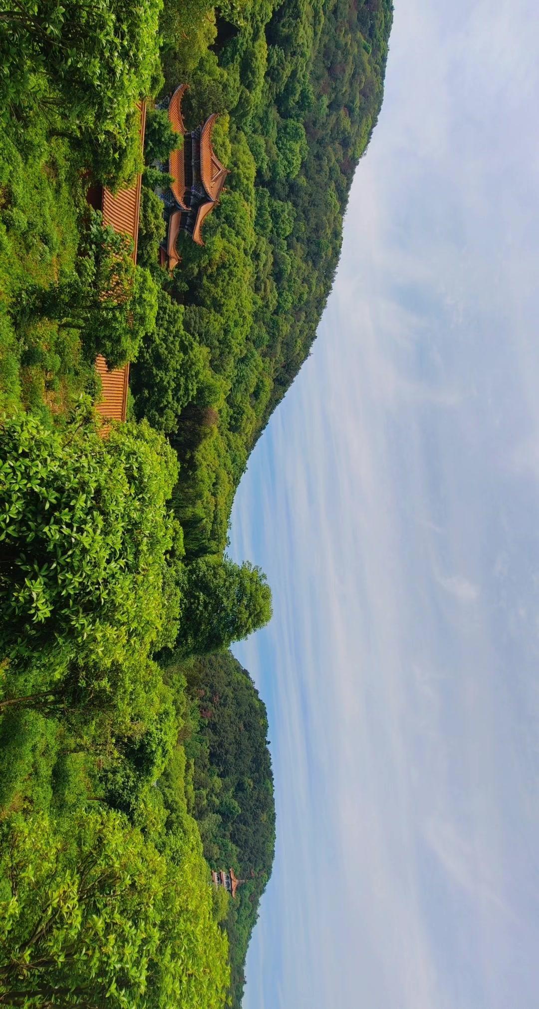 🌿在石门夹山，我找到了故乡的模样。

橙红古寺飞檐被层层绿意环抱，像时光里的秘