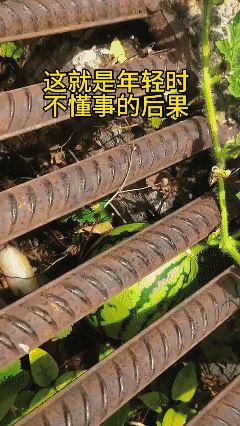 这就是年轻时不懂事的后果啊😭