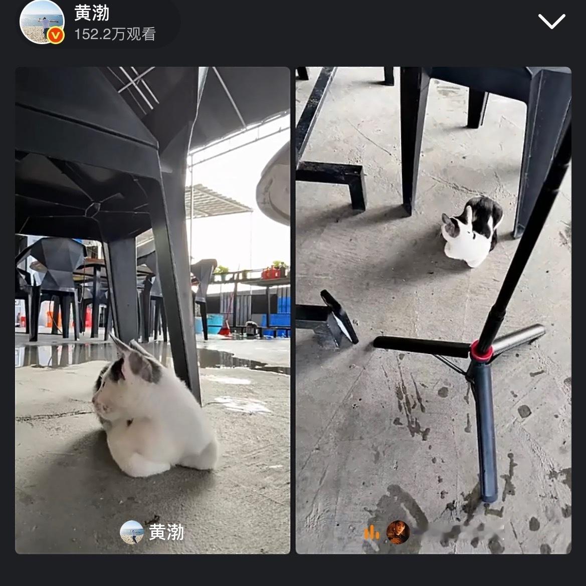 黄渤吴磊影宣太搞笑了黄渤吴磊骑行好抓马 骑行路上天降暴雨，二人躲雨直播，被大姐一