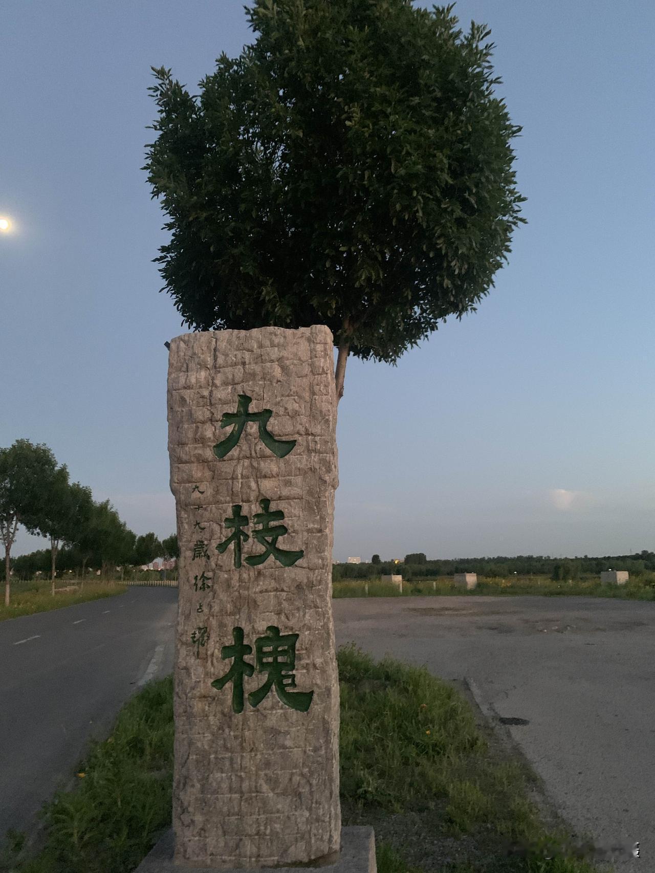 【说走就走的骑行】最近大家都在说石家庄滹沱河风景区最漂亮的地方在藁城。近日慕名前
