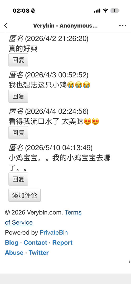 小鸡宝宝。。我的小鸡宝宝去哪了。。 