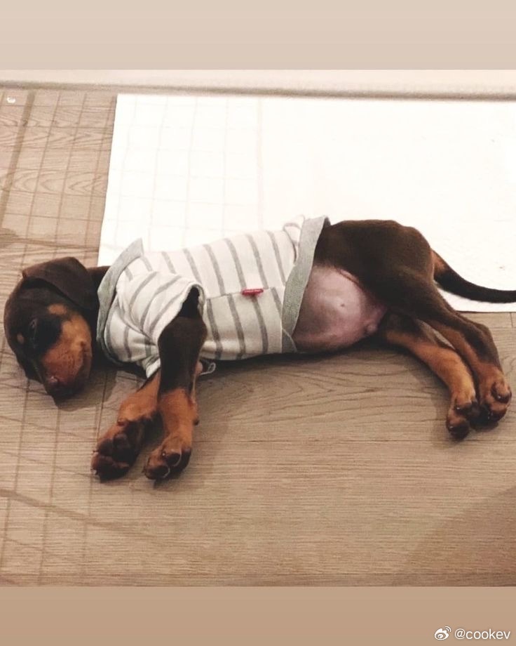 bam小时候真可爱🥰 