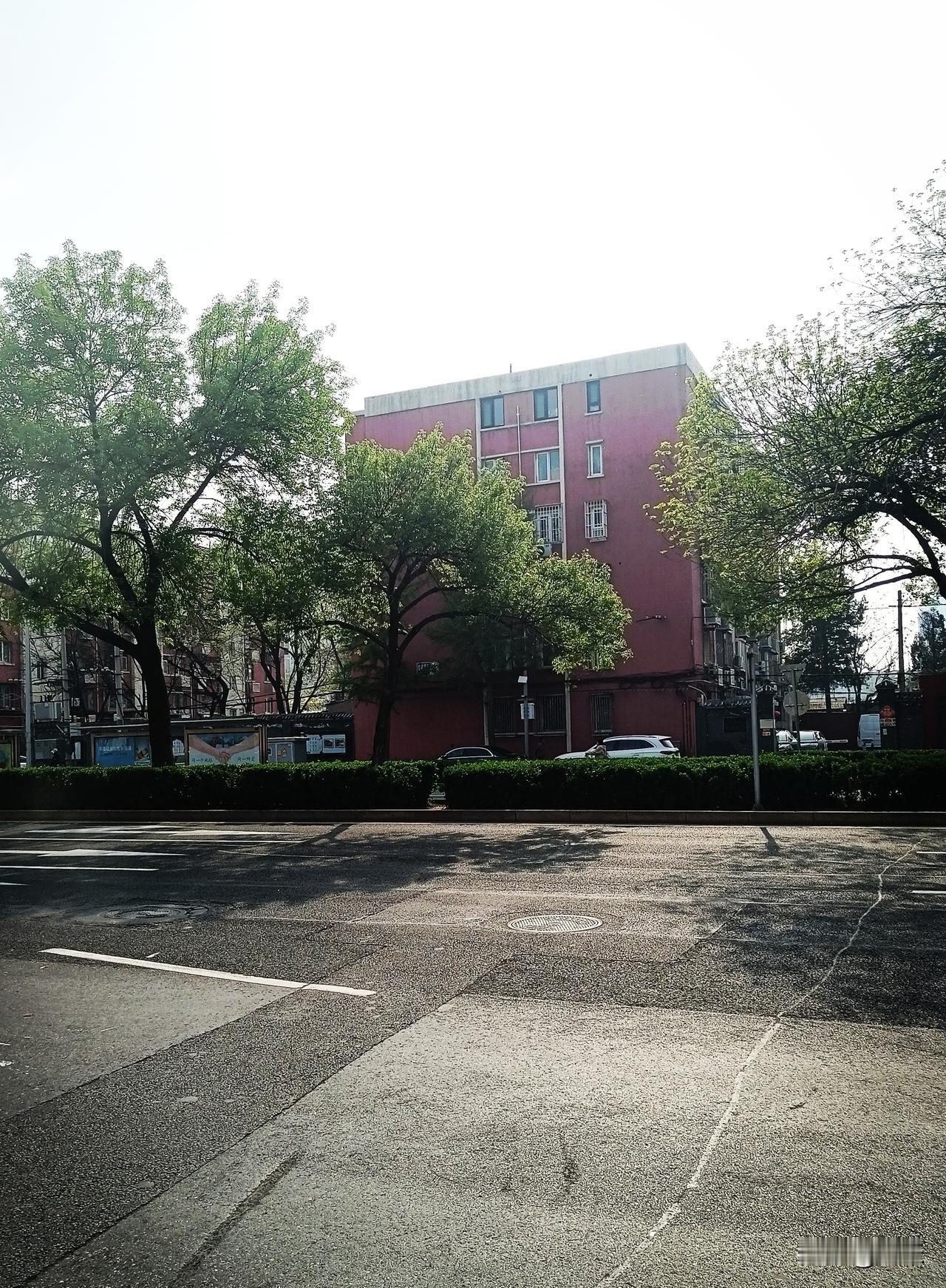 大家都说北京柳絮太多～～
其实这个季节，不光北京有飞絮，各个地方都有，在治理飞絮