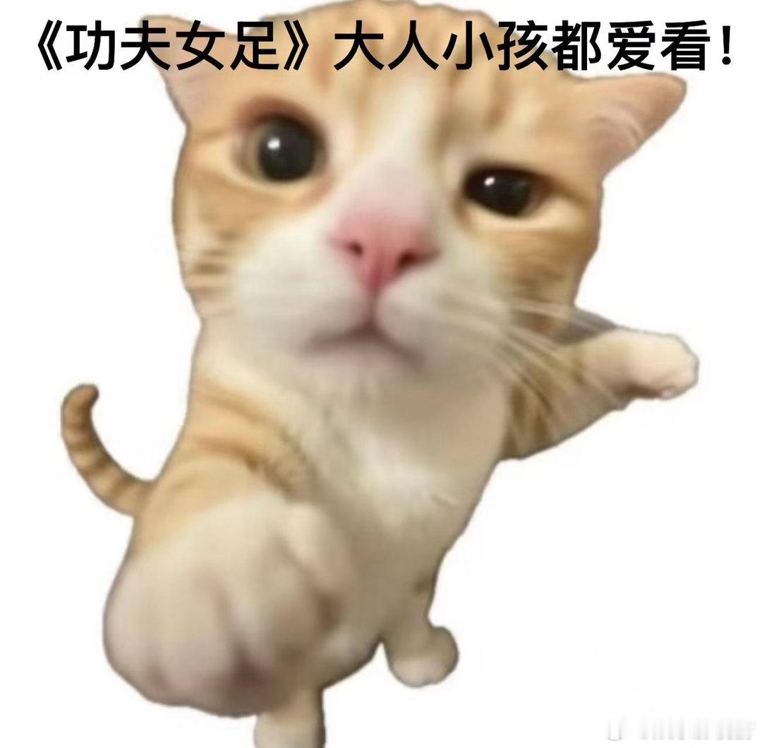 周星驰的粉丝群体已壮大到20后周星驰功夫女足小孩届给到夯星爷创造的快乐永不褪色，