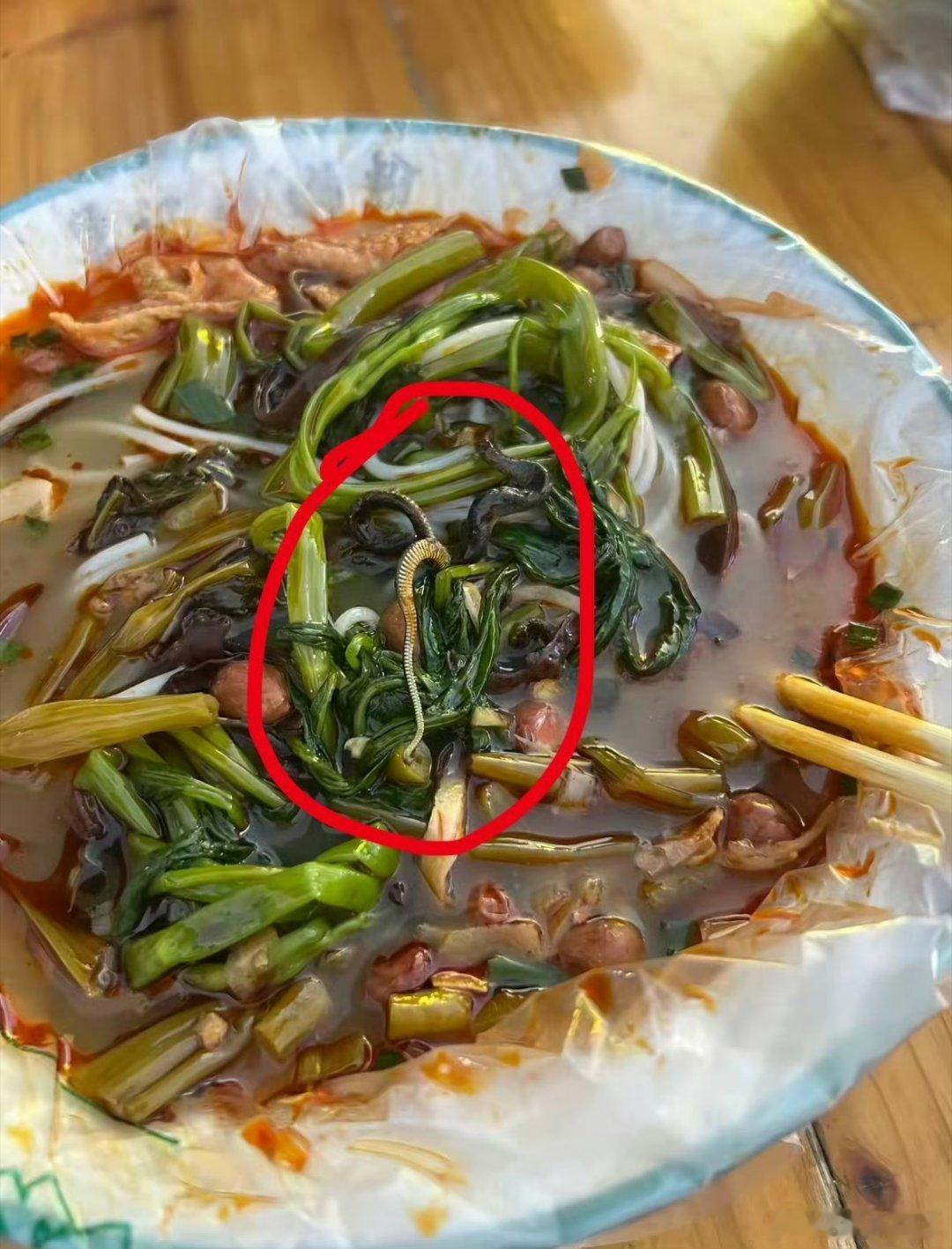女子螺蛳粉摊吃出蛇晚饭已经不想吃了