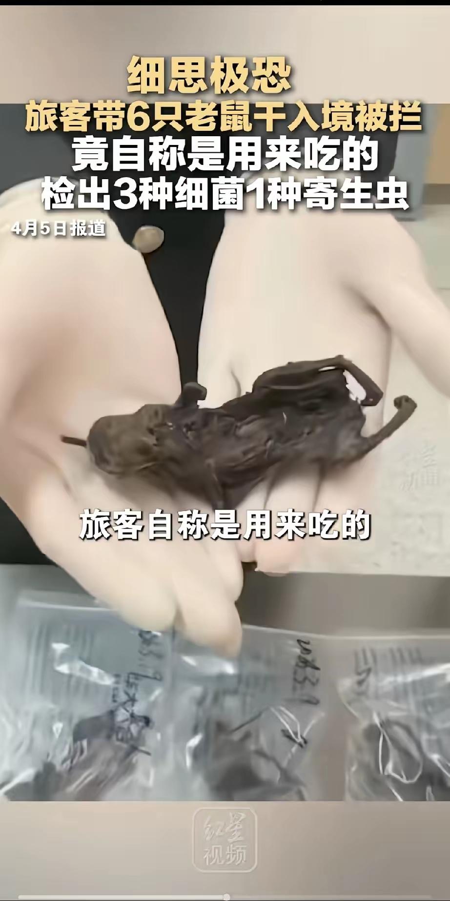 真的越想越让人后怕，2026年3月19号，合肥新桥机场海关，工作人员在一名走绿色