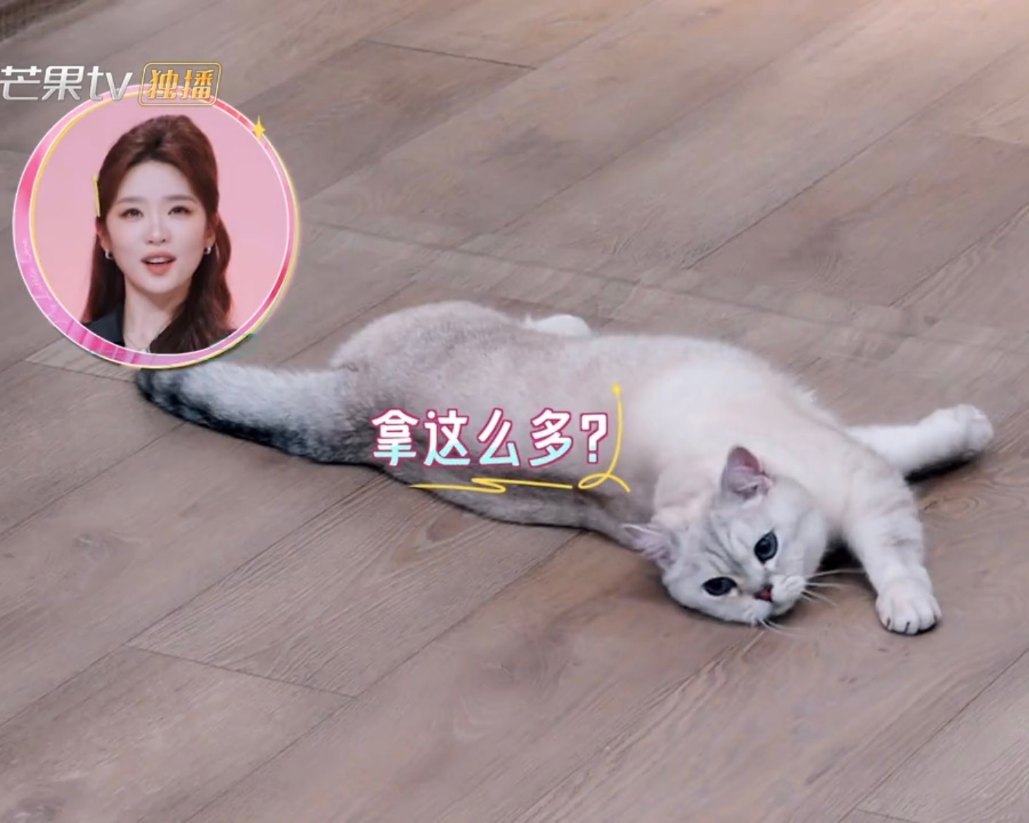谁点的朋呼合照 ​​​